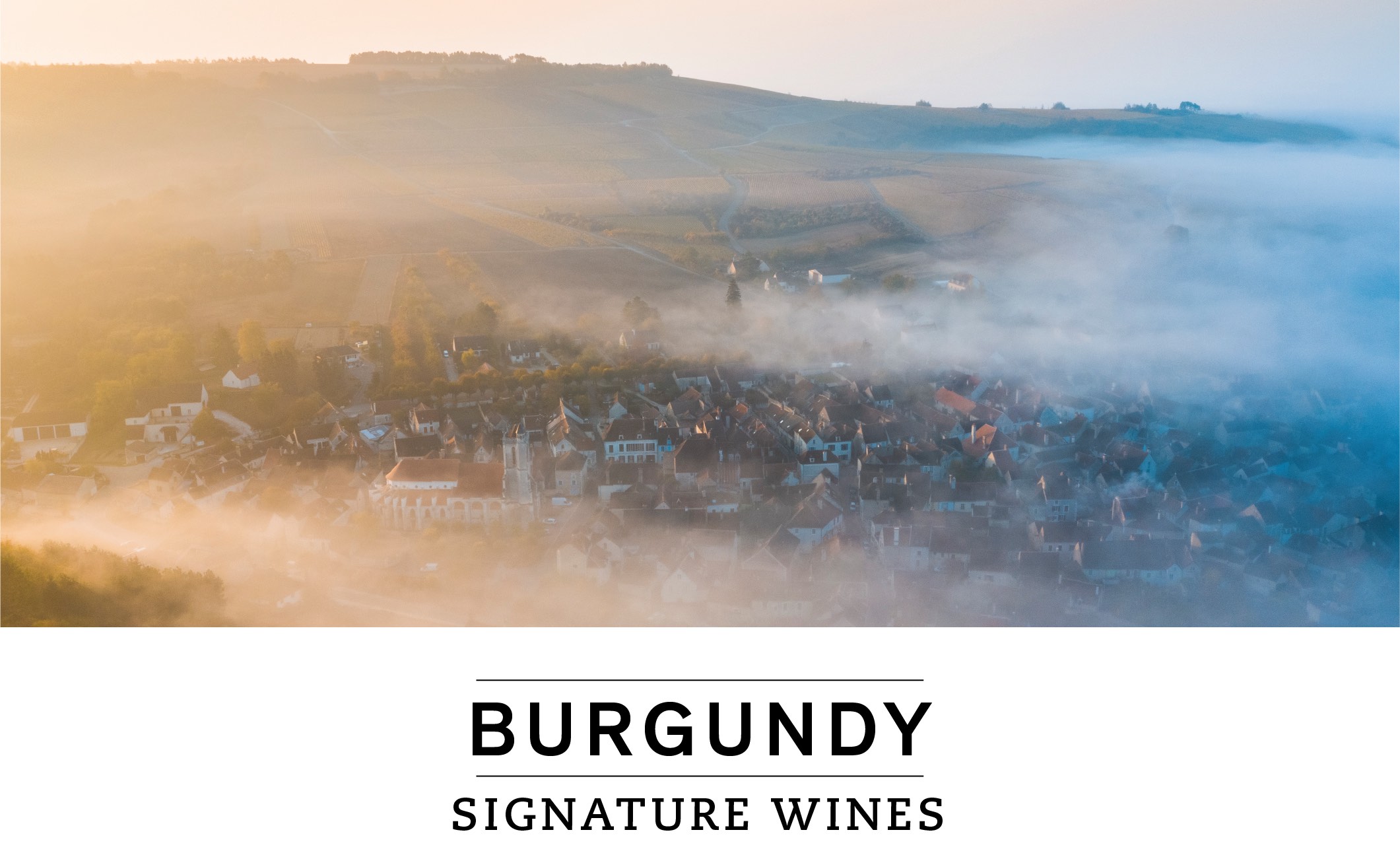 Burgundy Signature Wines