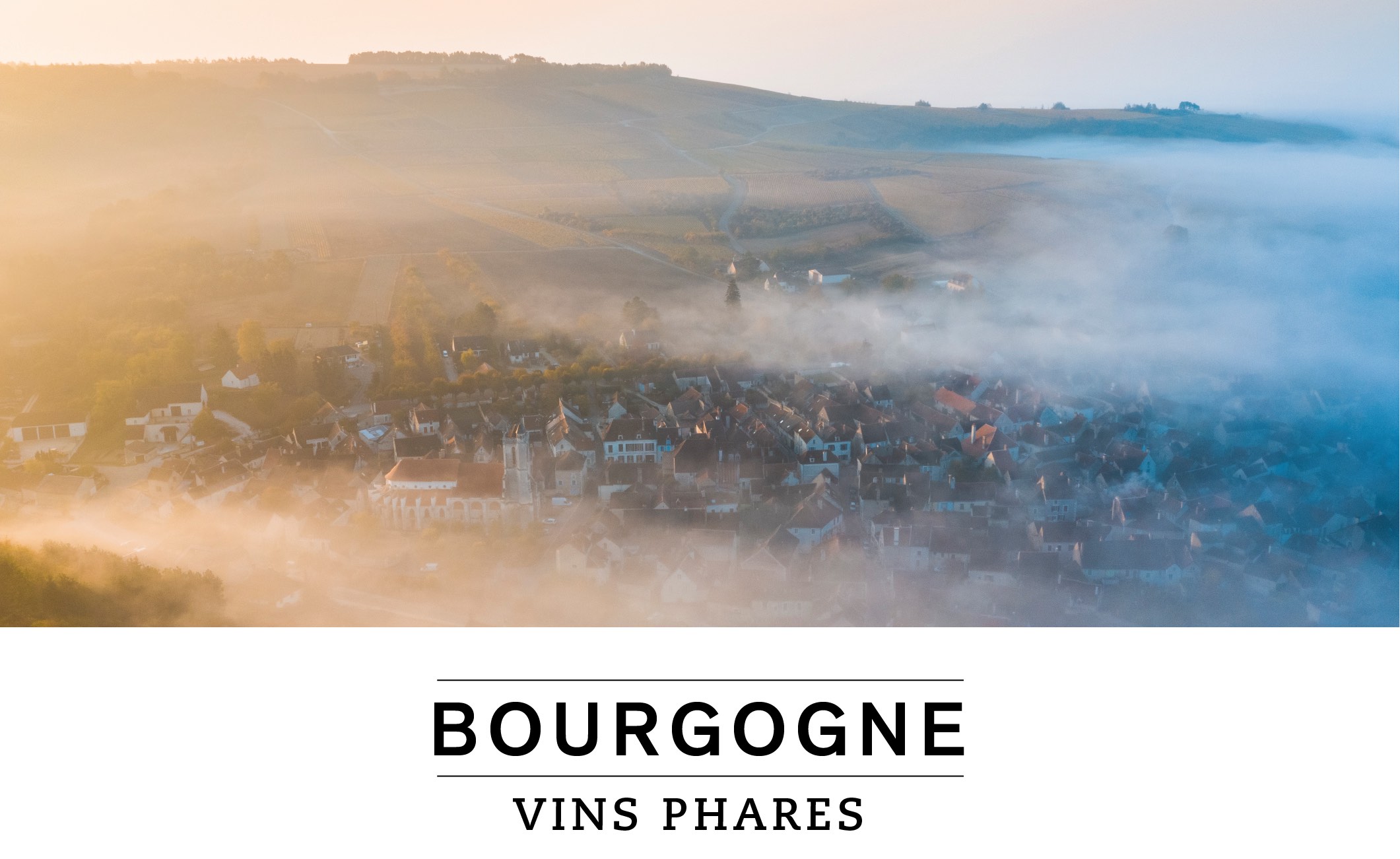 BOURGOGNE VINS PHARES