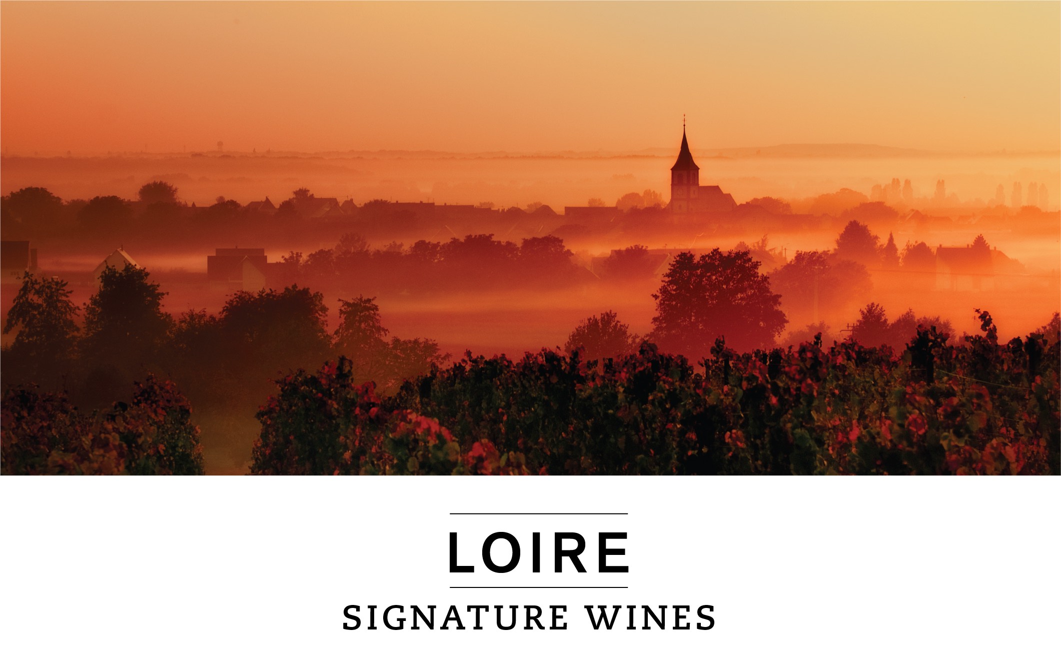 LOIRE SIGNATURE WINES