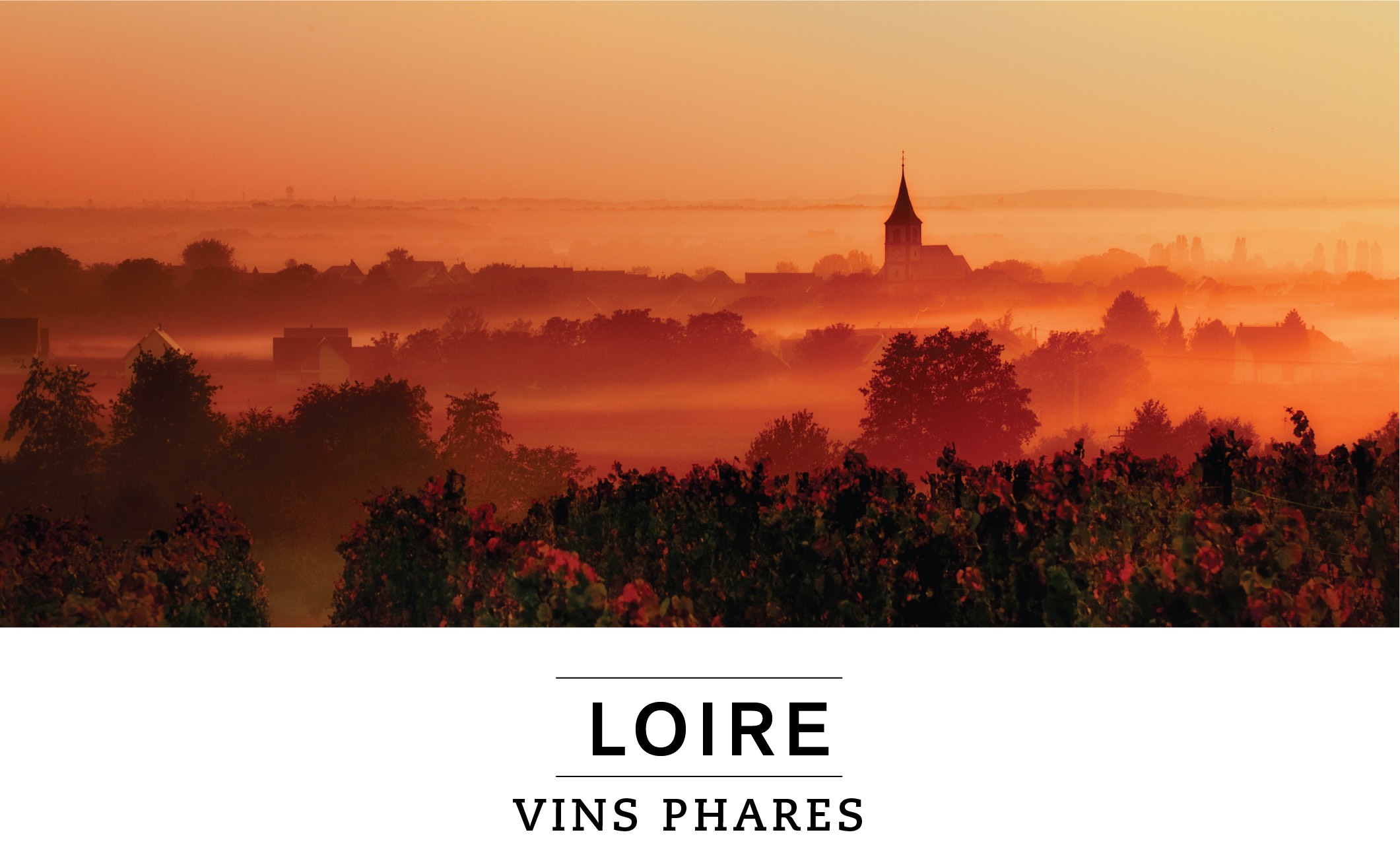 LOIRE VINS PHARES