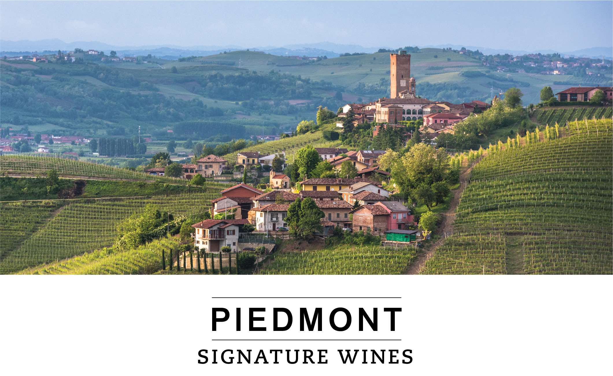 PIEDMONT SIGNATURE WINES 