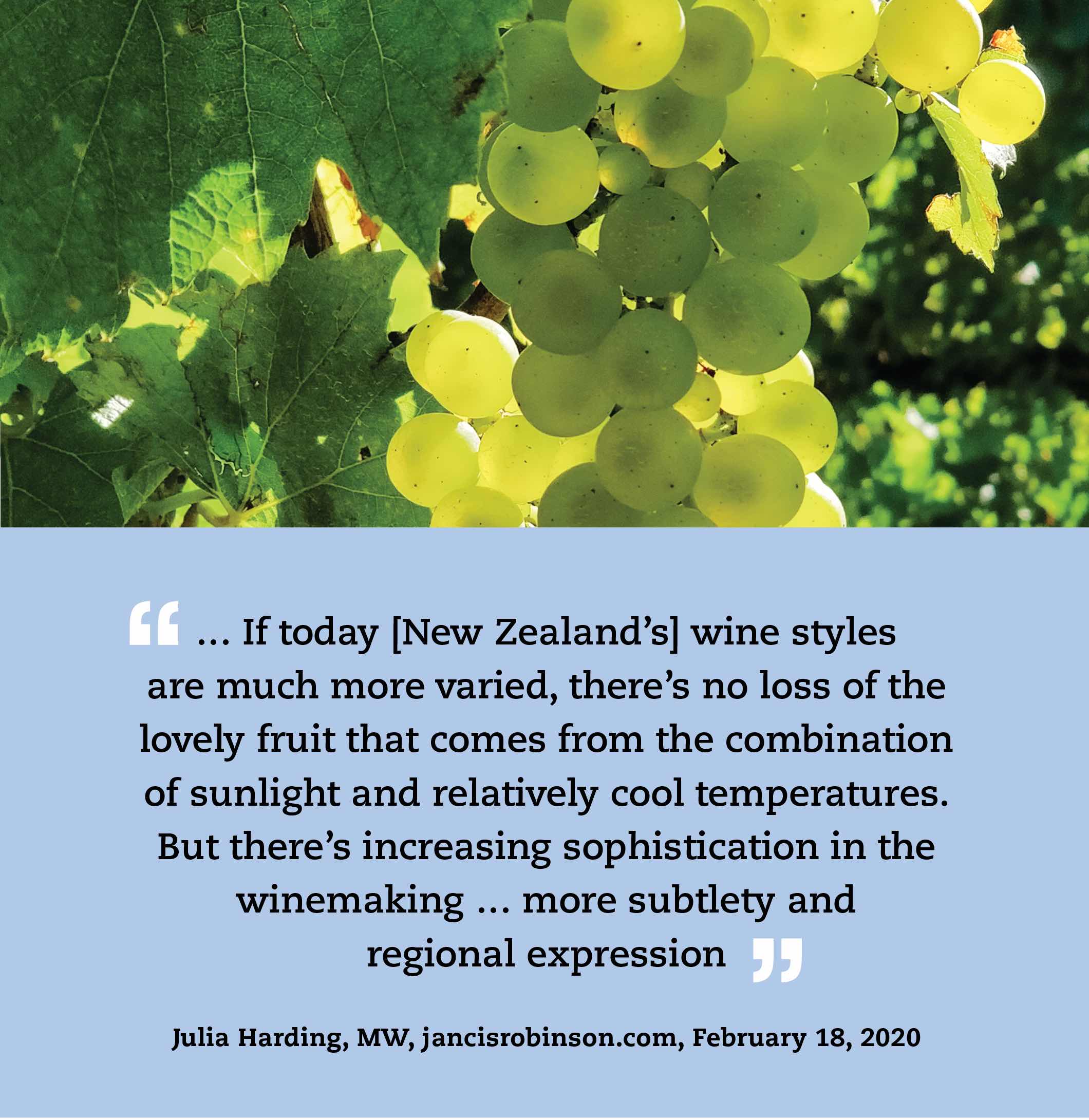 “… If today [New Zealand’s] wine styles are much more varied, there’s no loss of the lovely fruit that comes from the combination of sunlight and relatively cool temperatures. But there’s increasing sophistication in the winemaking … more subtlety and regional expression.” —Julia Harding, MW, jancisrobinson.com, February 18, 2020