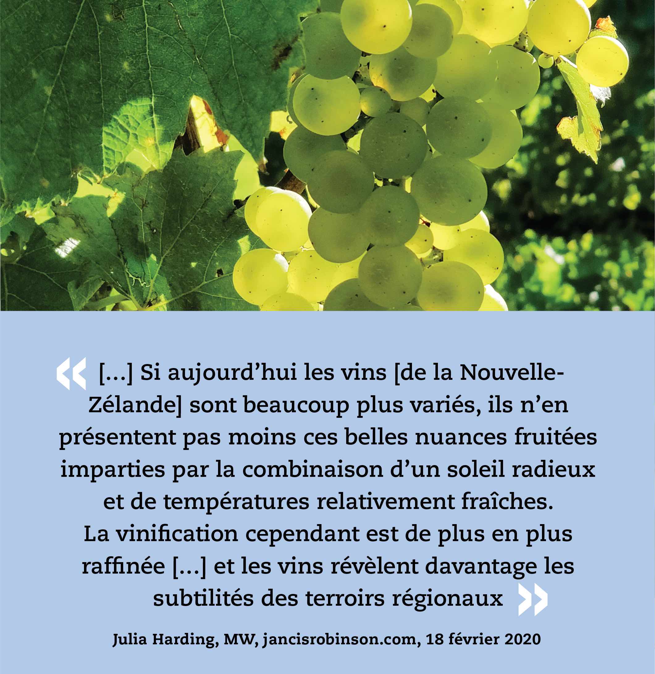 « […] Si aujourd’hui les vins [de la Nouvelle-Zélande] sont beaucoup plus variés, ils n’en présentent pas moins ces belles nuances fruitées imparties par la combinaison d’un soleil radieux et de températures relativement fraîches. La vinification cependant est de plus en plus raffinée […] et les vins révèlent davantage les subtilités des terroirs régionaux. » —Julia Harding, MW, jancisrobinson.com, 18 février 2020