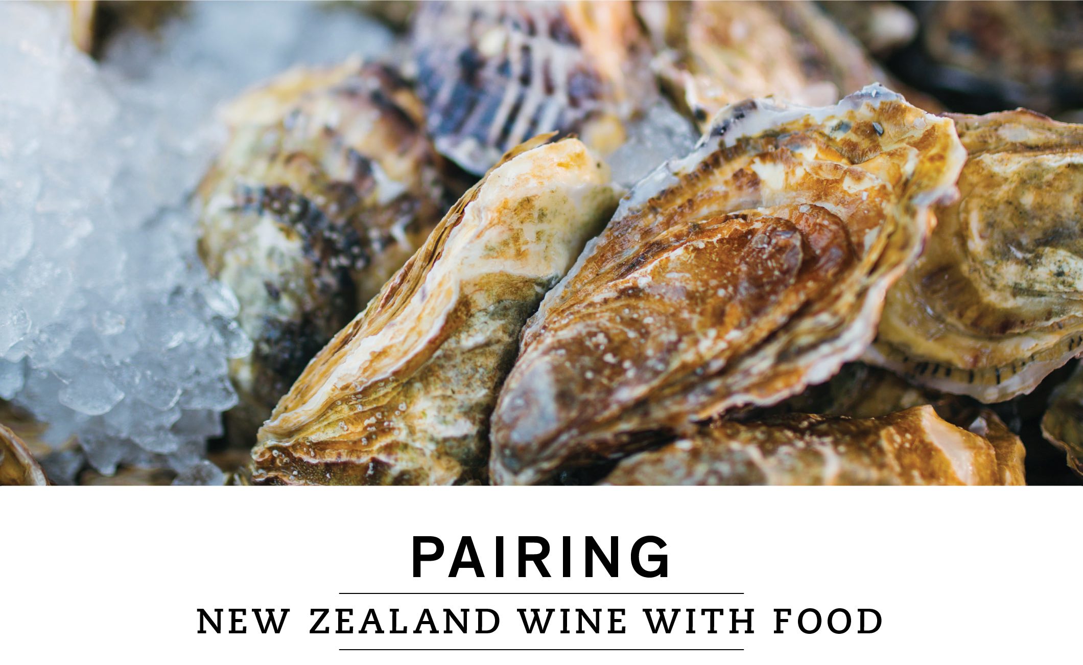 PAIRING NEW ZEALAND WINE WITH FOOD
