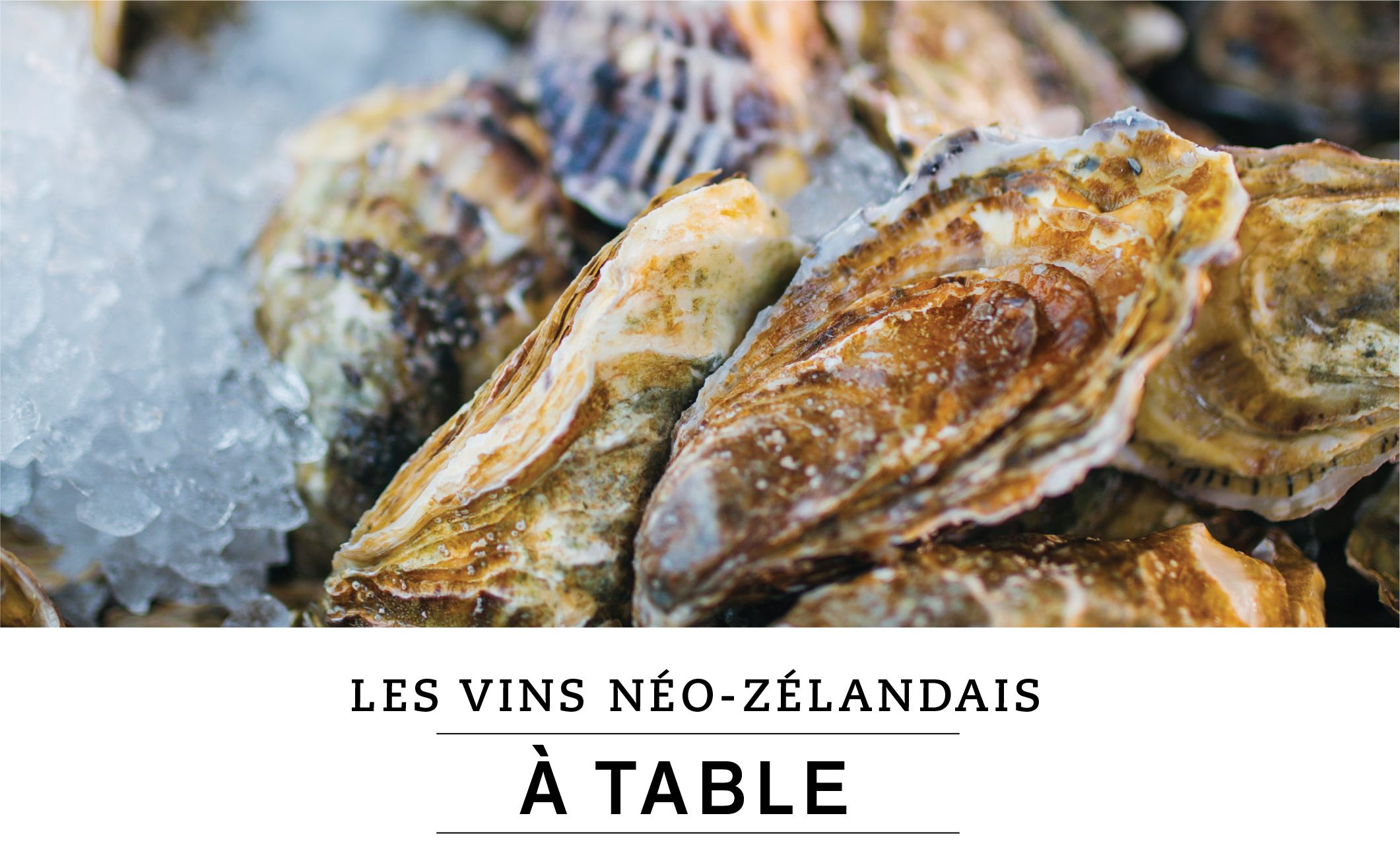 LES VINS NÉO-ZÉLANDAIS À TABLE 