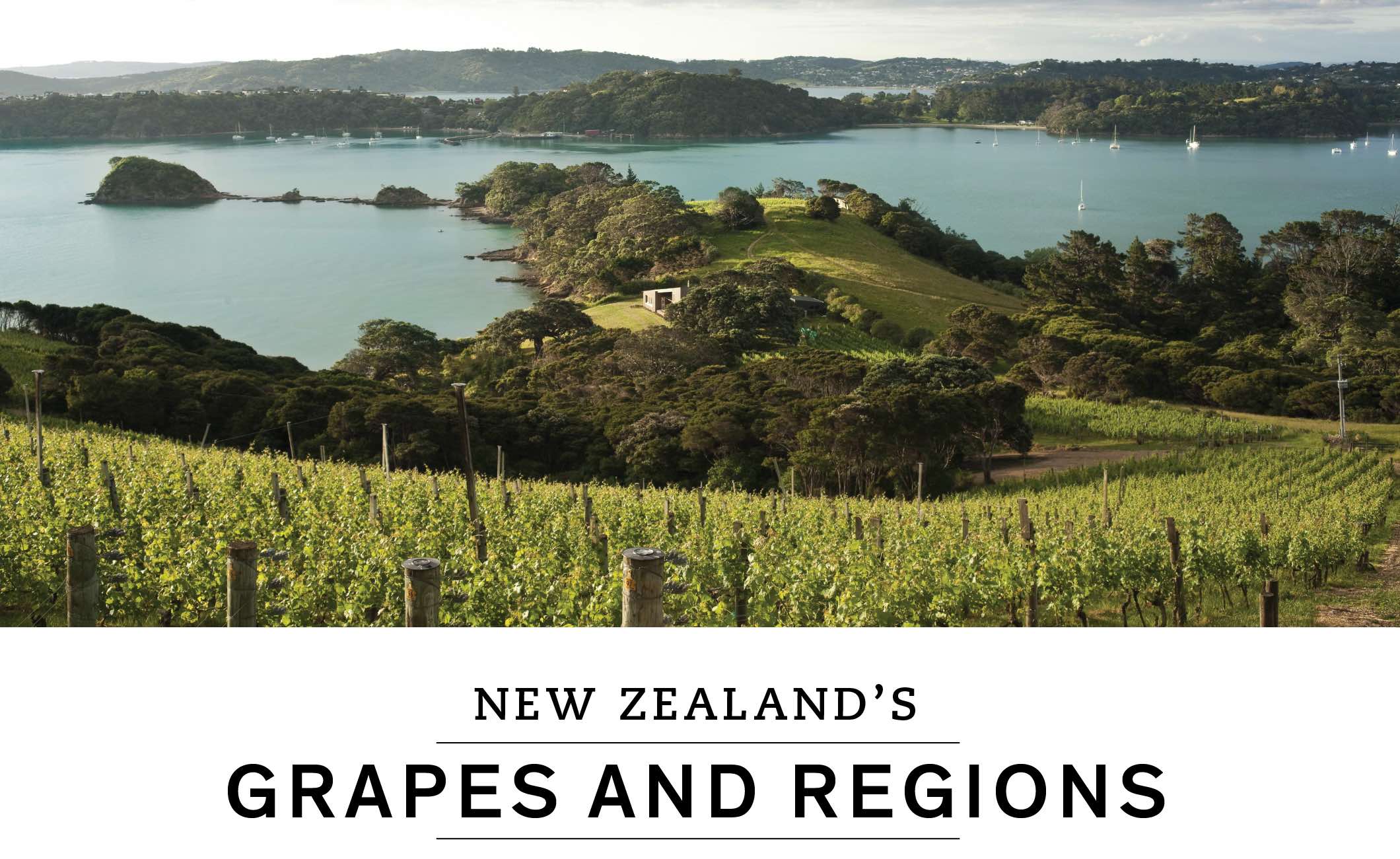 NEW ZEALAND’S GRAPES AND REGIONS