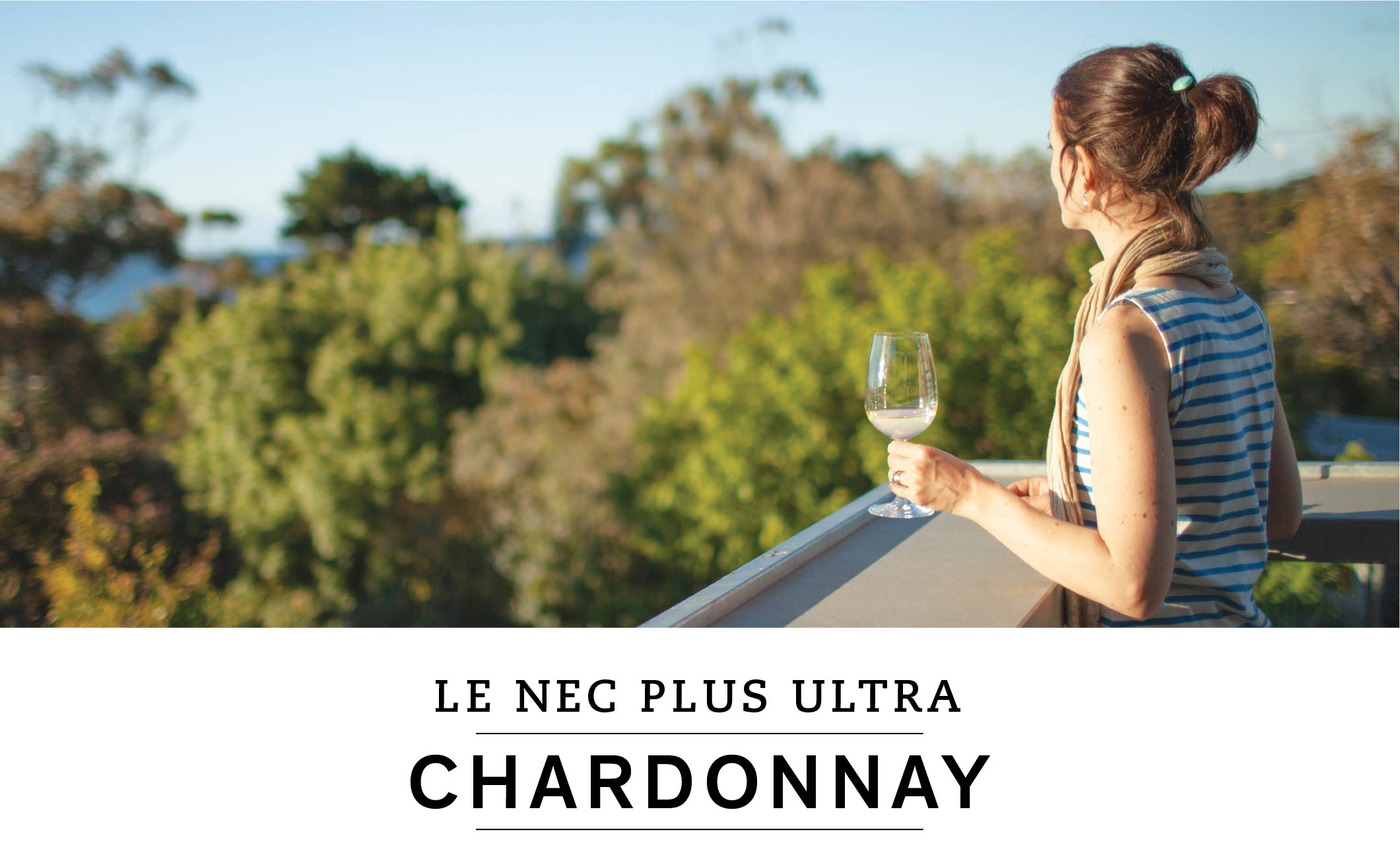  LE NEC PLUS ULTRA : CHARDONNAY