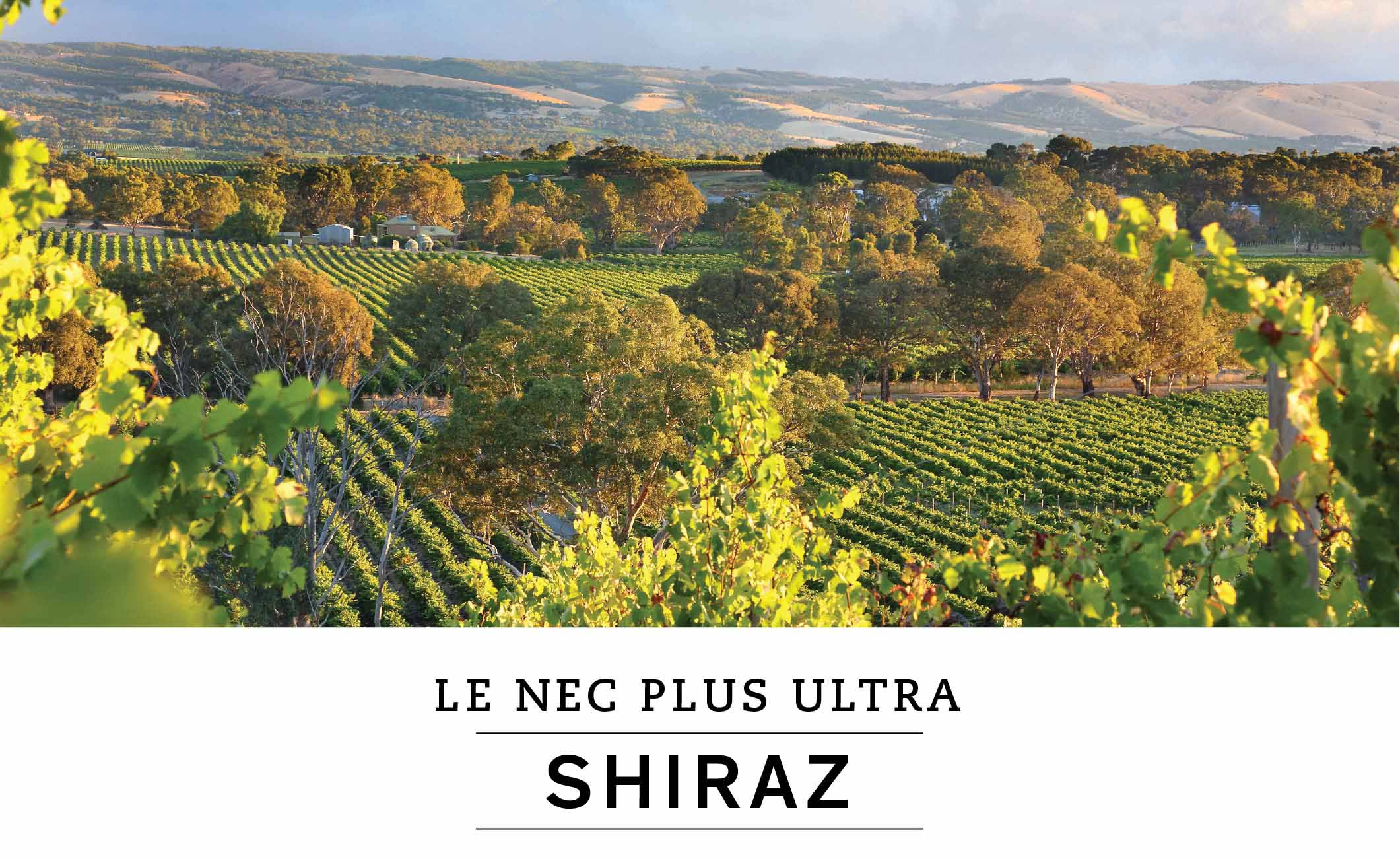 LE NEC PLUS ULTRA : SHIRAZ