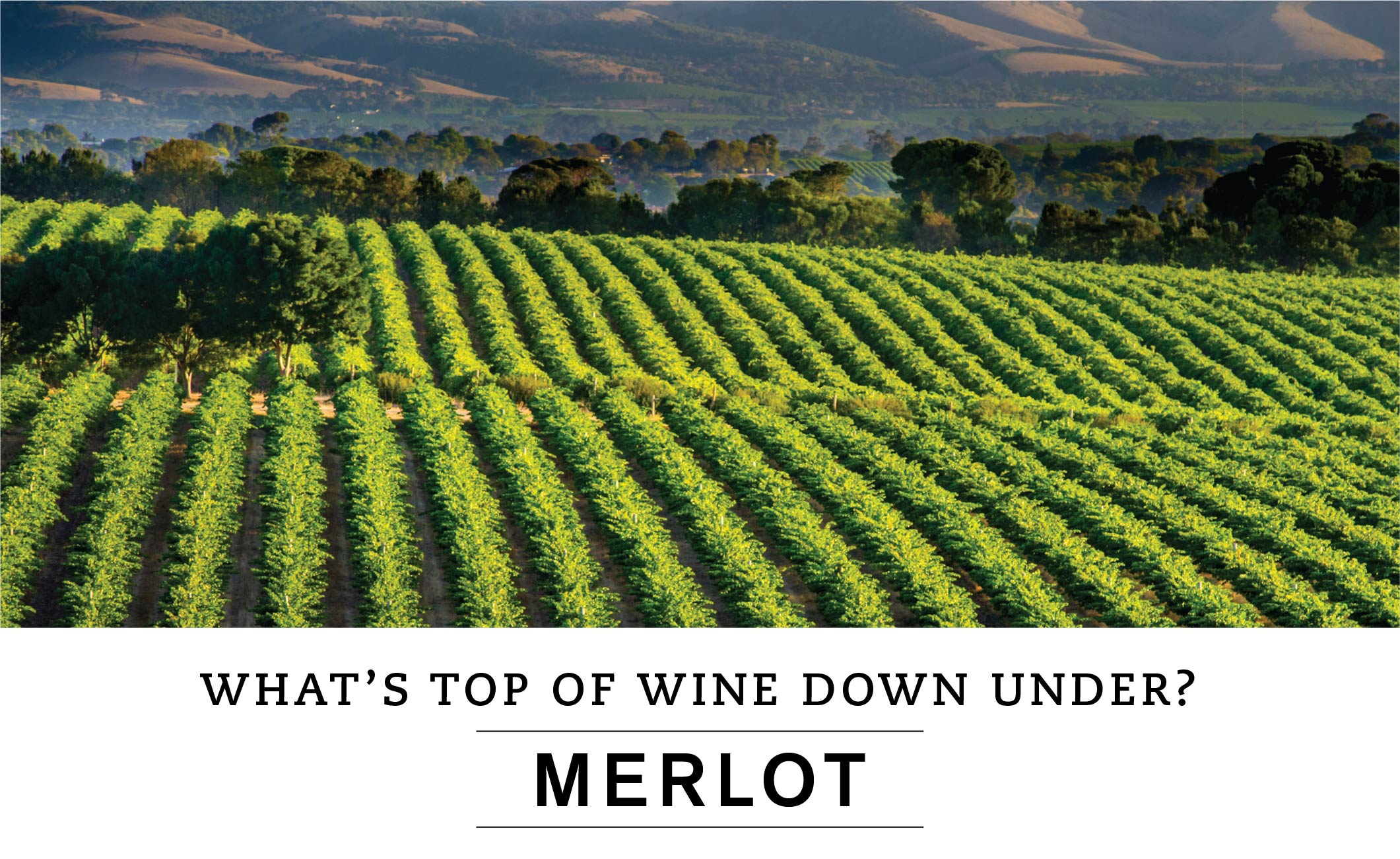 WHAT'S TOP OF WINE DOWN UNDER? MERLOT