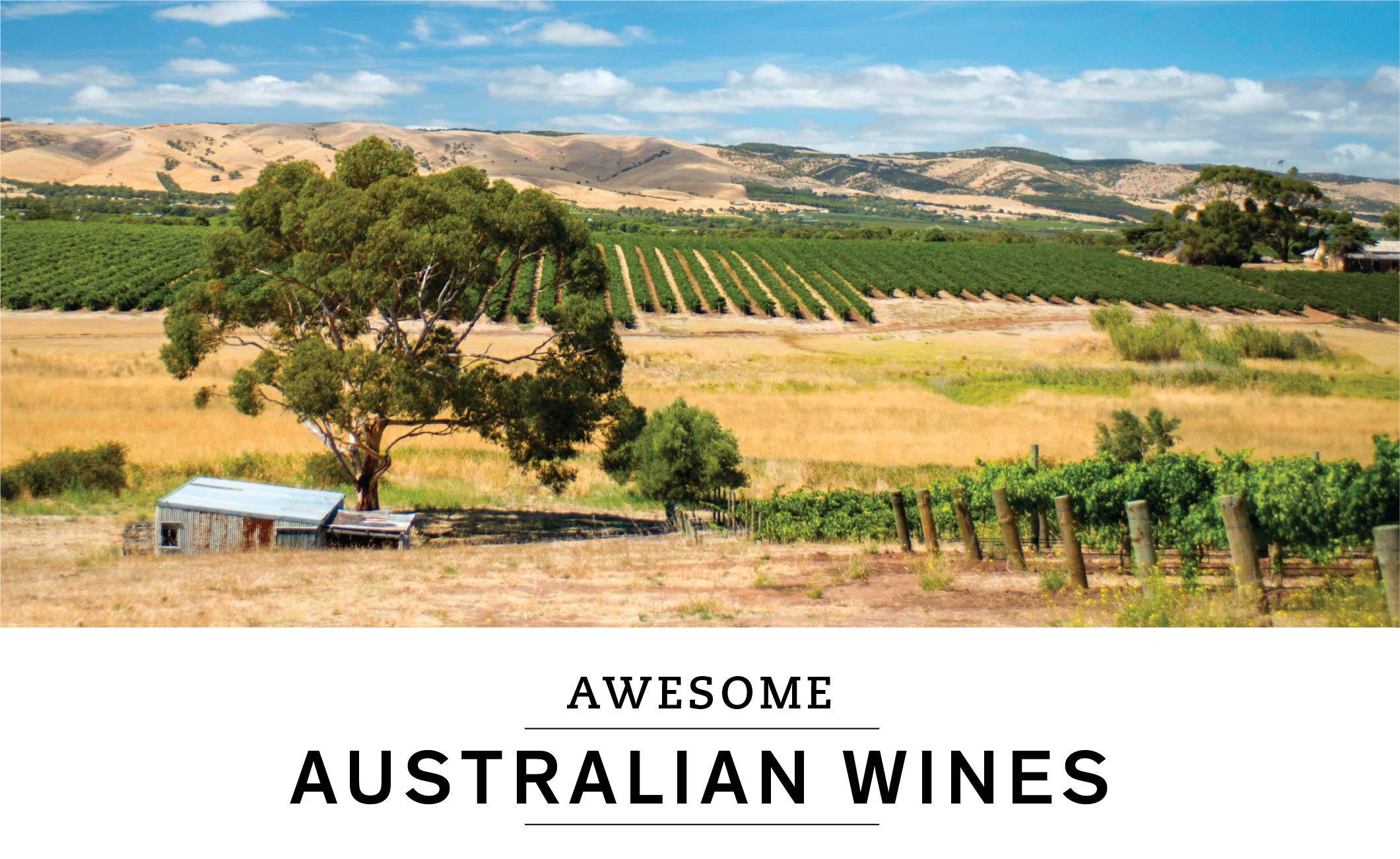 FEATURE STORY: Awesome Australian Wines