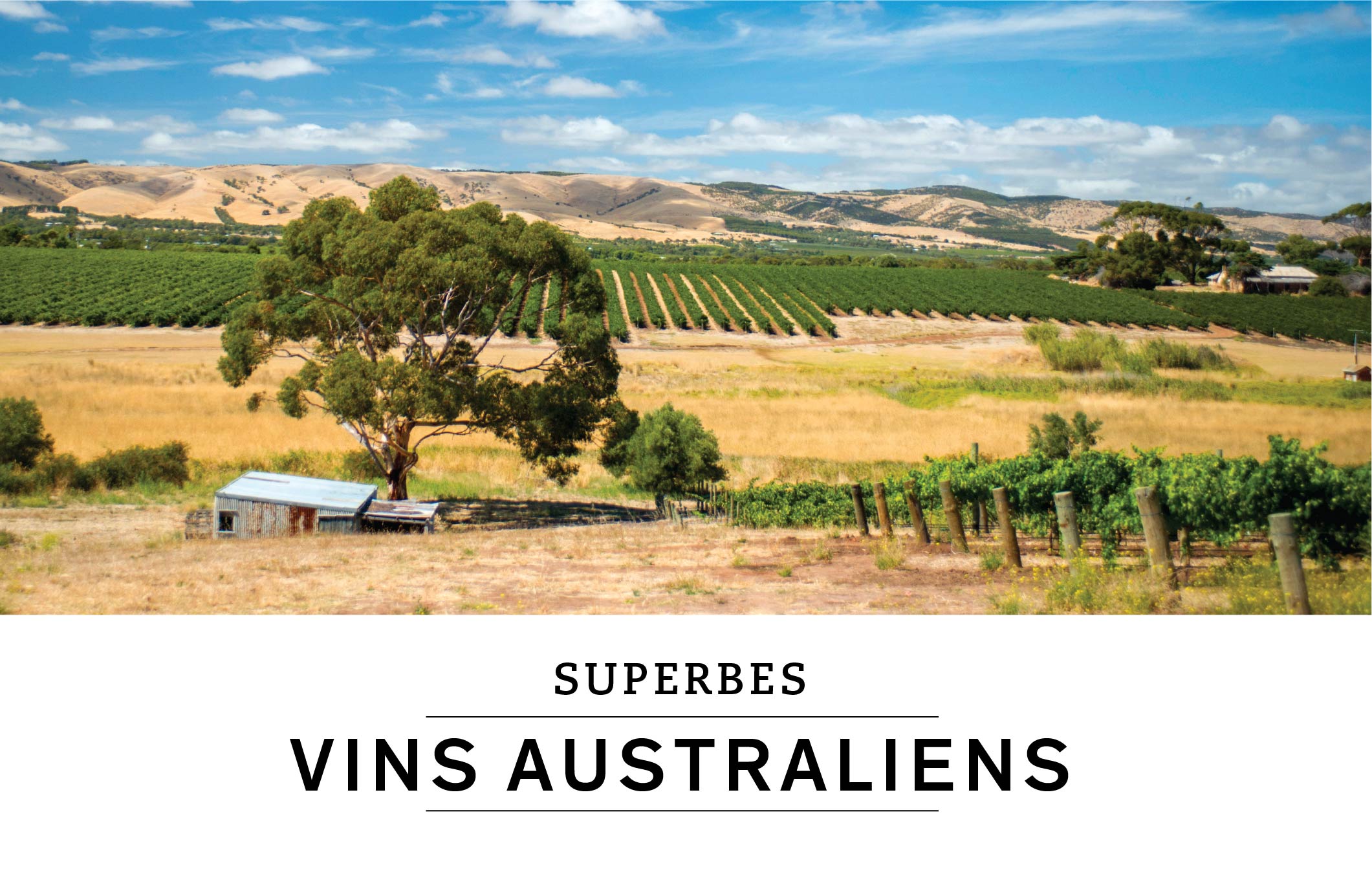 POINT DE MIRE SUPERBES VINS AUSTRALIENS