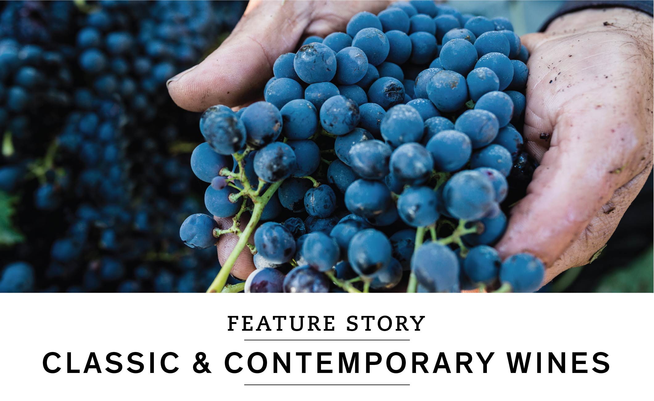 FEATURE STORY: CLASSIC & CONTEMPORARY WINES