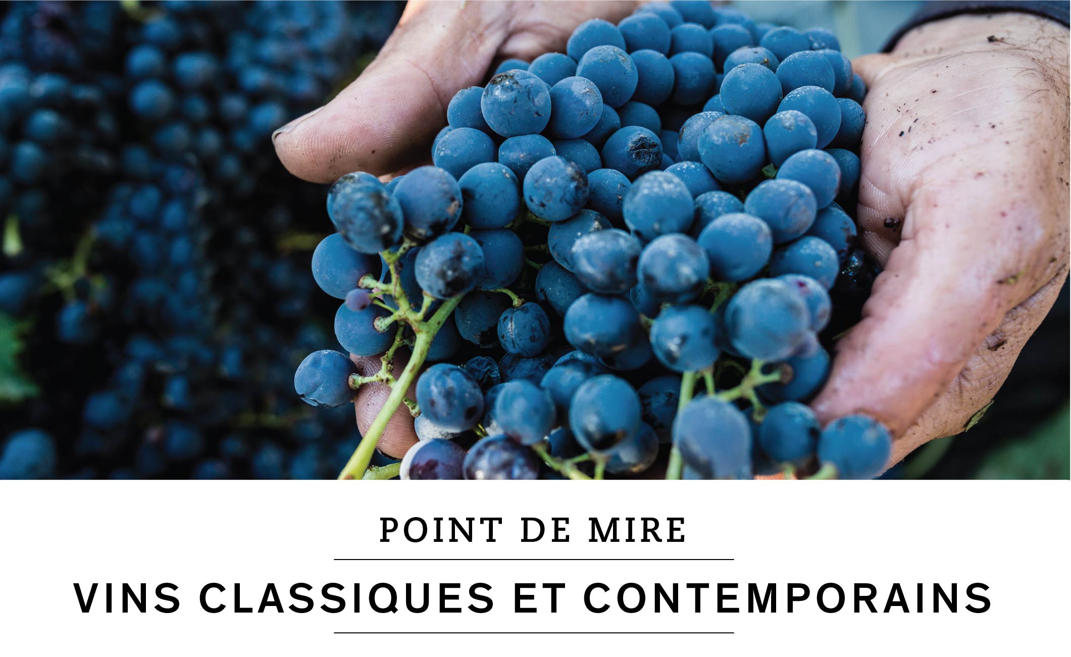 POINT DE MIRE: VINS CLASSIQUES ET CONTEMPORAINS