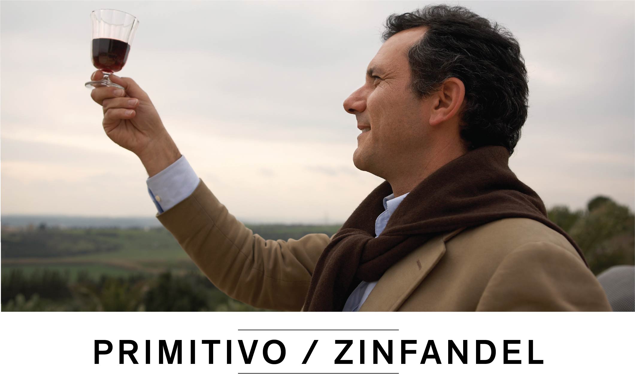 Primitivo / zinfandel