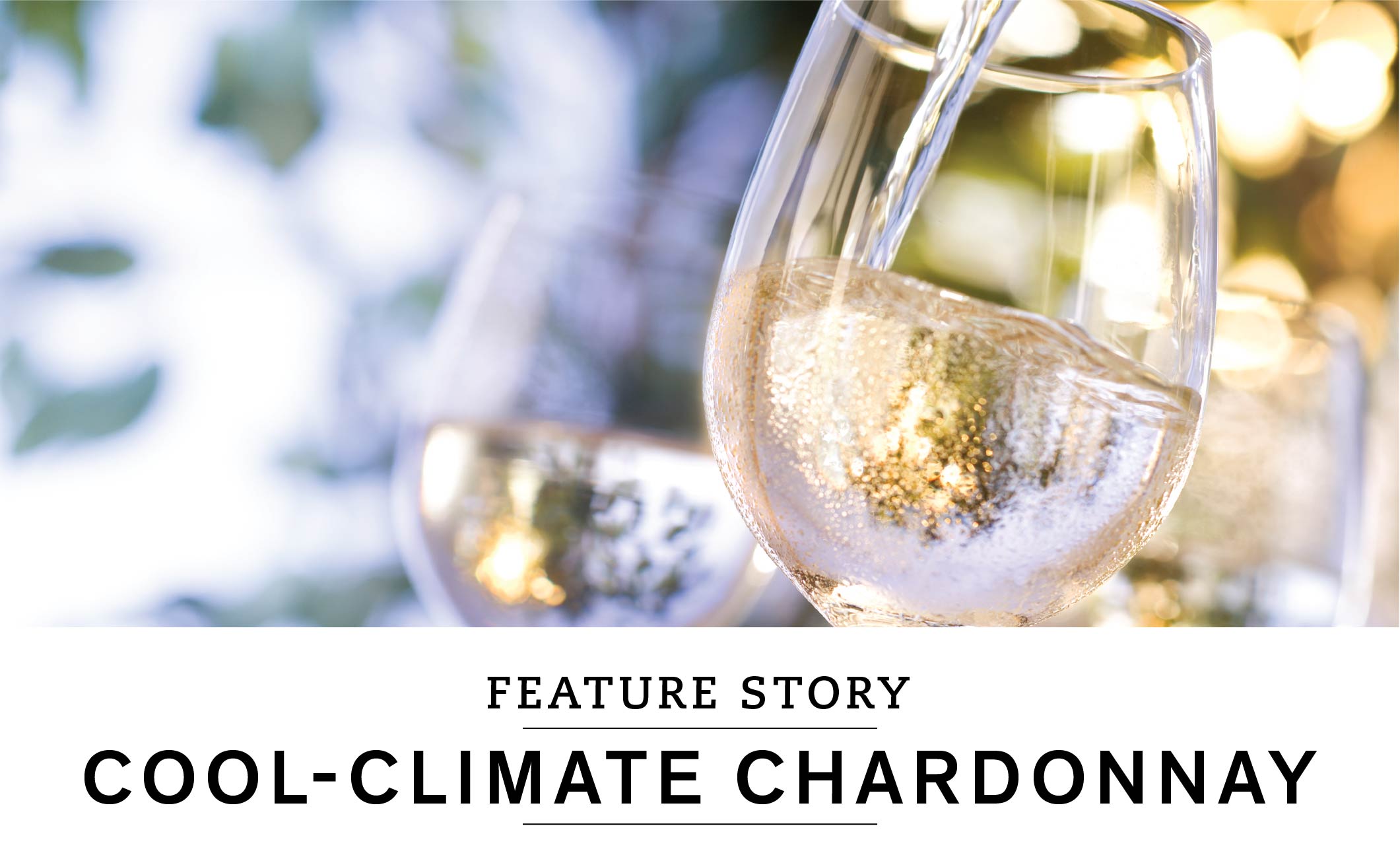FEATURE STORY: COOL-CLIMATE CHARDONNAY