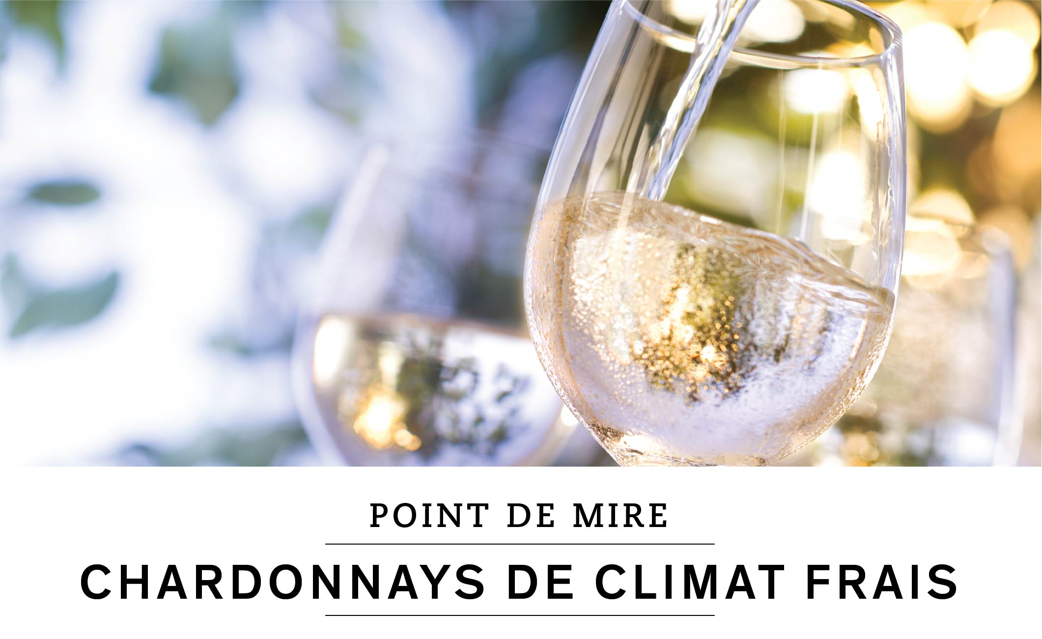 POINT DE MIRE: CHARDONNAYS DE CLIMAT FRAIS