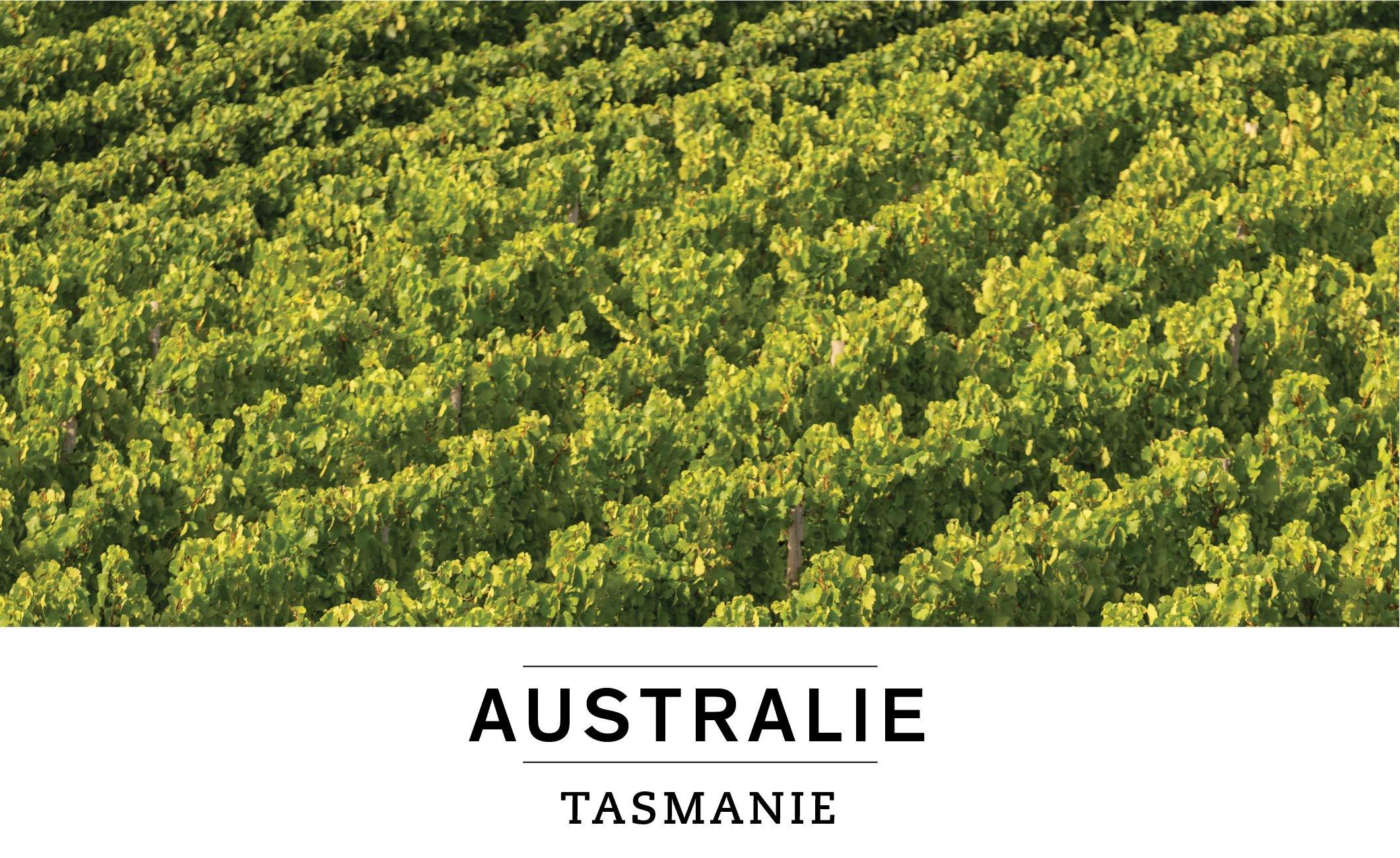 AUSTRALIE : TASMANIE