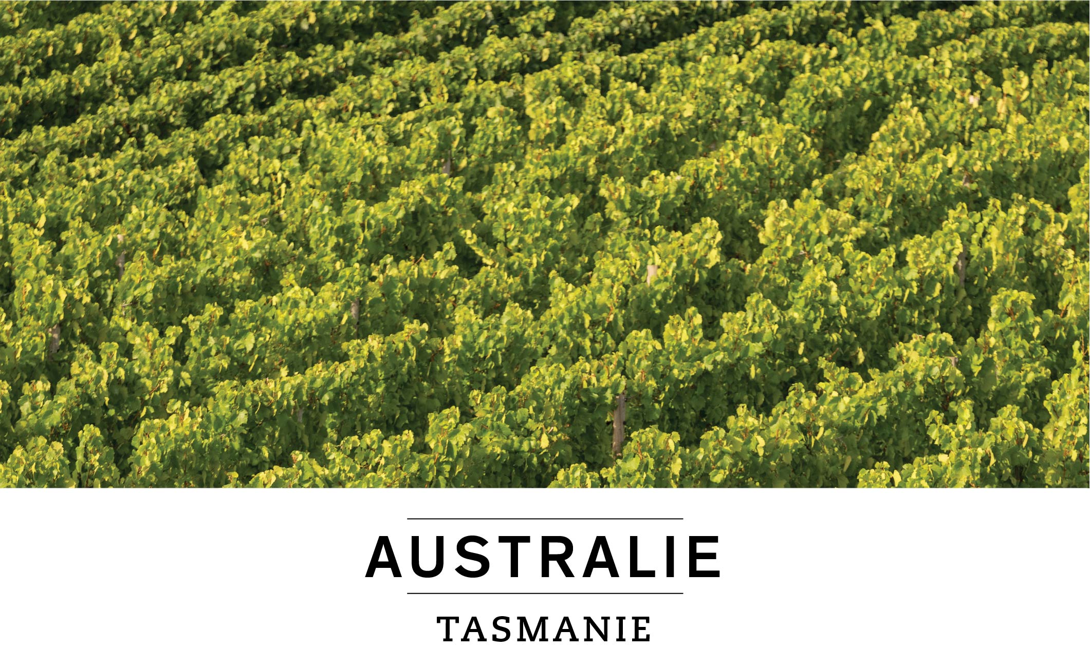 AUSTRALIE : TASMANIE