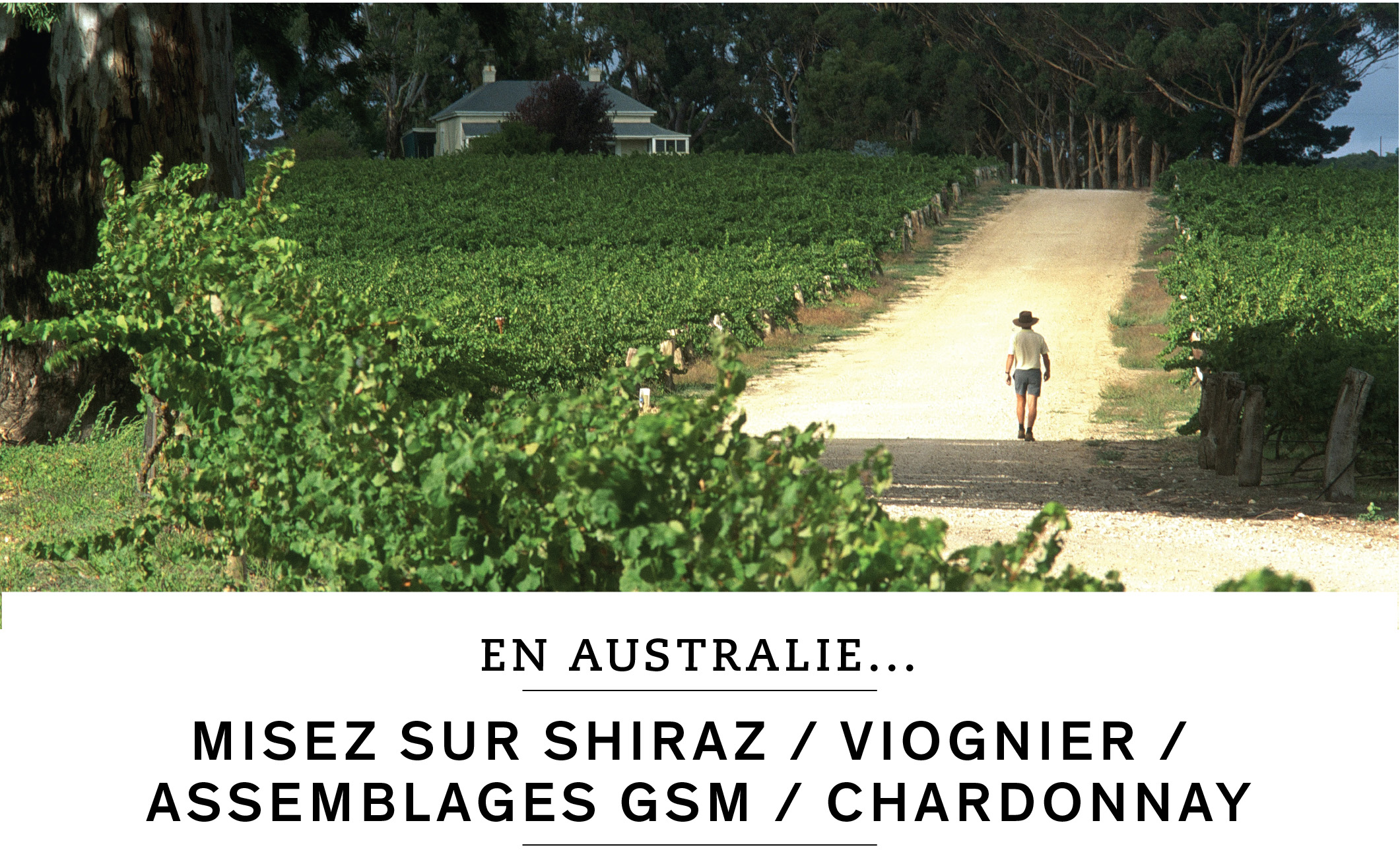 En Australie, misez sur shiraz, viognier, assemblages GSM ou chardonnay.