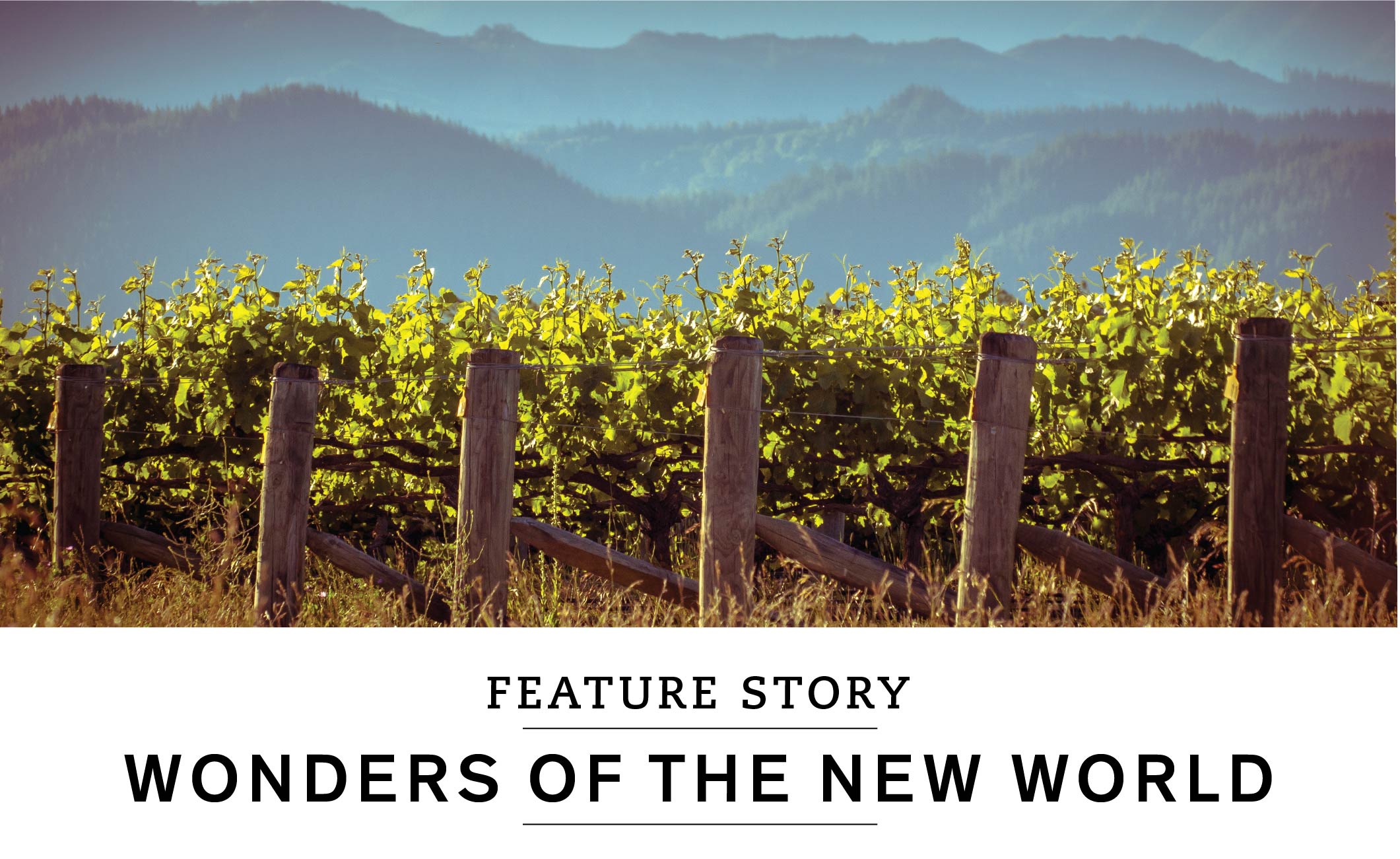 Feature story: Wonders of the New World