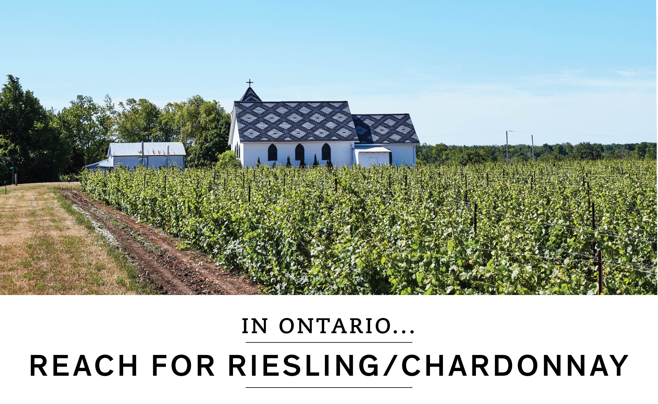 In Ontario, reach for Riesling or Chardonnay.