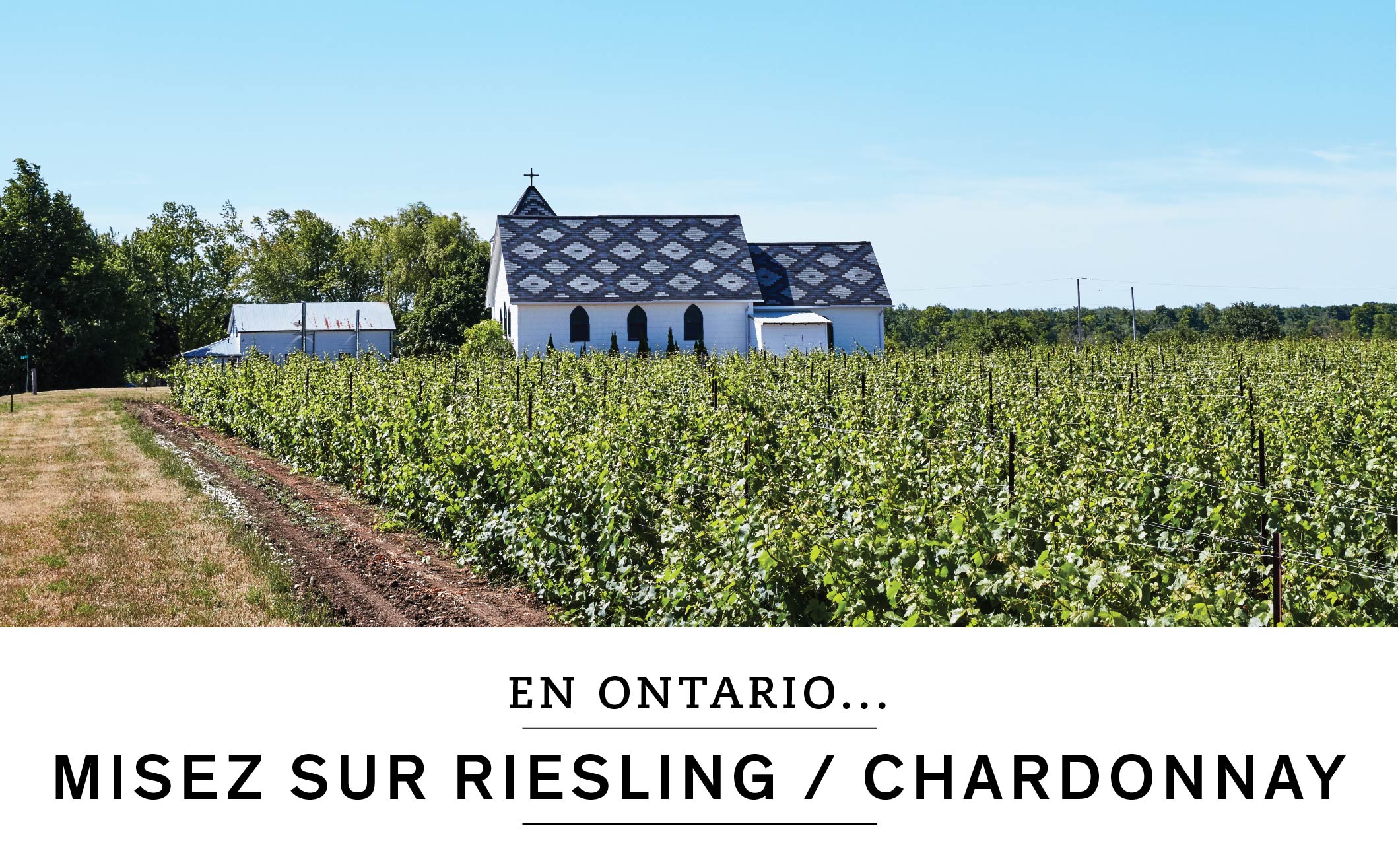 En Ontario, misez sur riesling ou chardonnay.