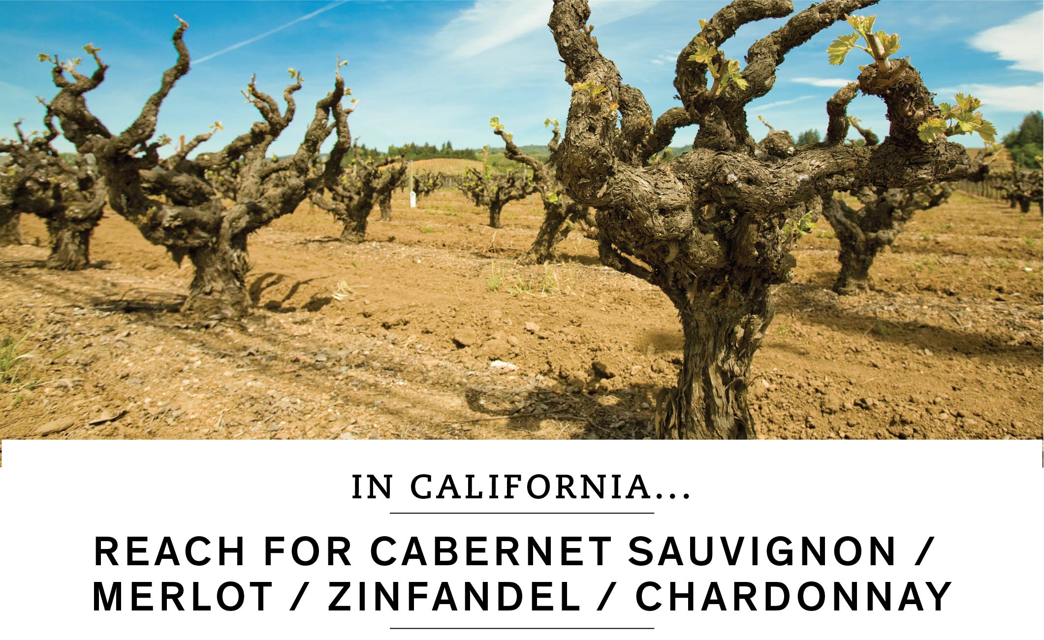 In California, reach for Cabernet Sauvignon, Merlot, Zinfandel, or Chardonnay.