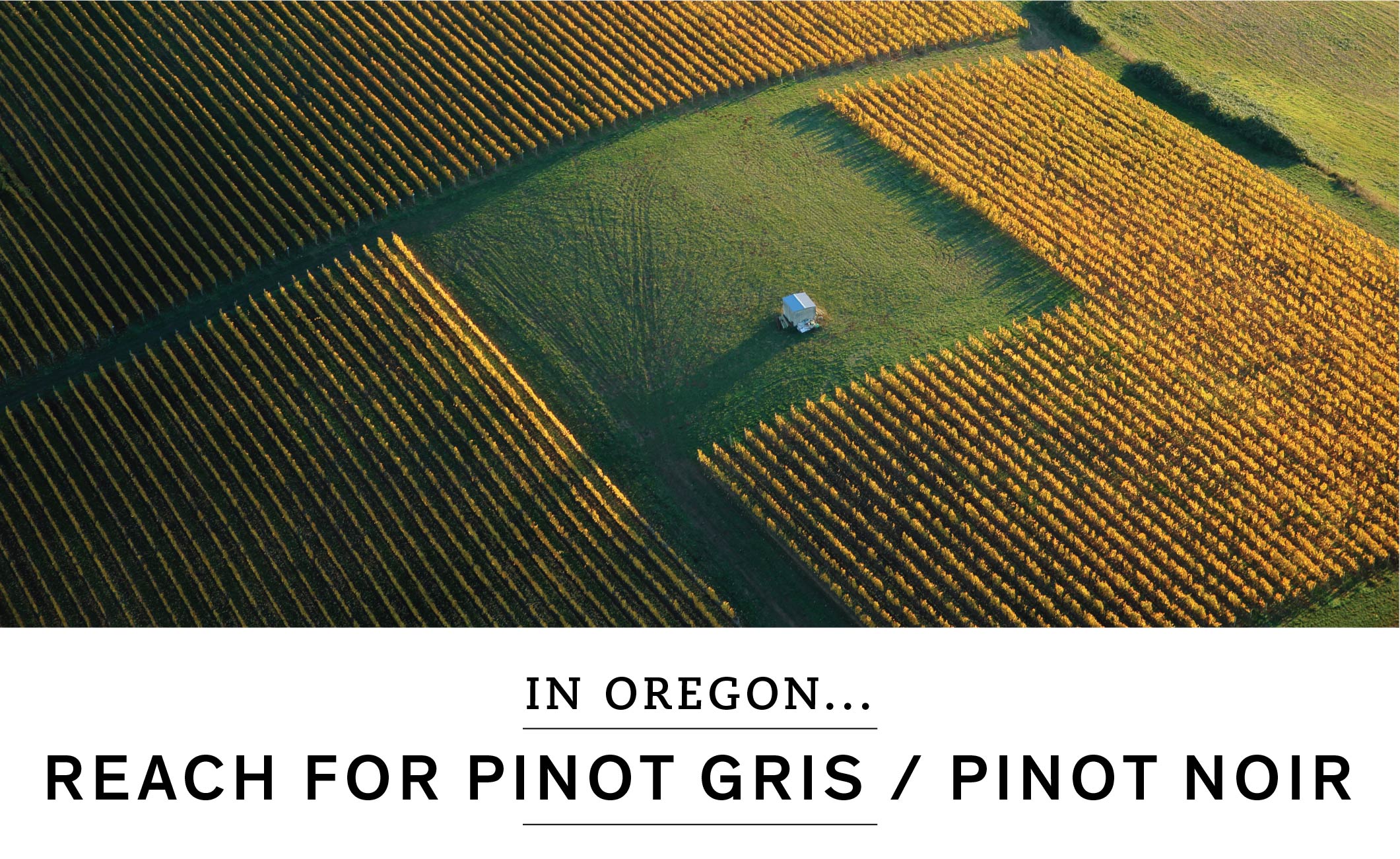 In Oregon, reach for Pinot Gris or Pinot Noir.