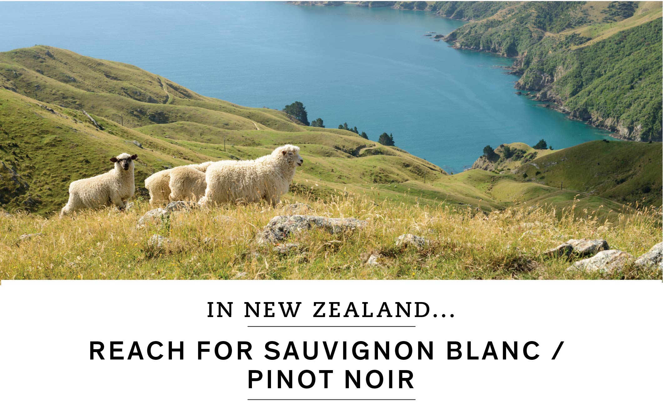 In New Zealand, reach for Sauvignon Blanc or Pinot Noir.
