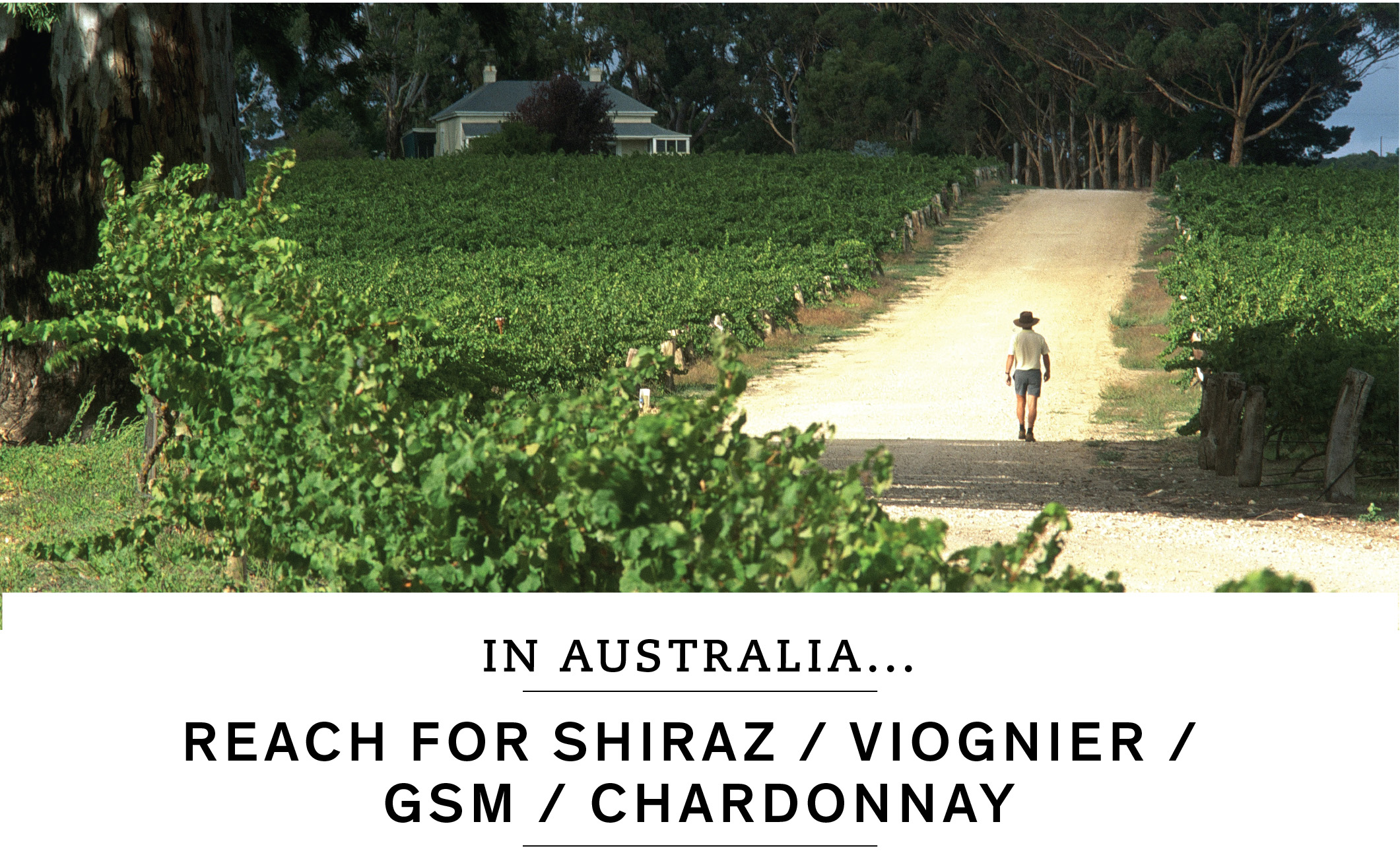 In Australia, reach for Shiraz, Viognier, GSM or Chardonnay.