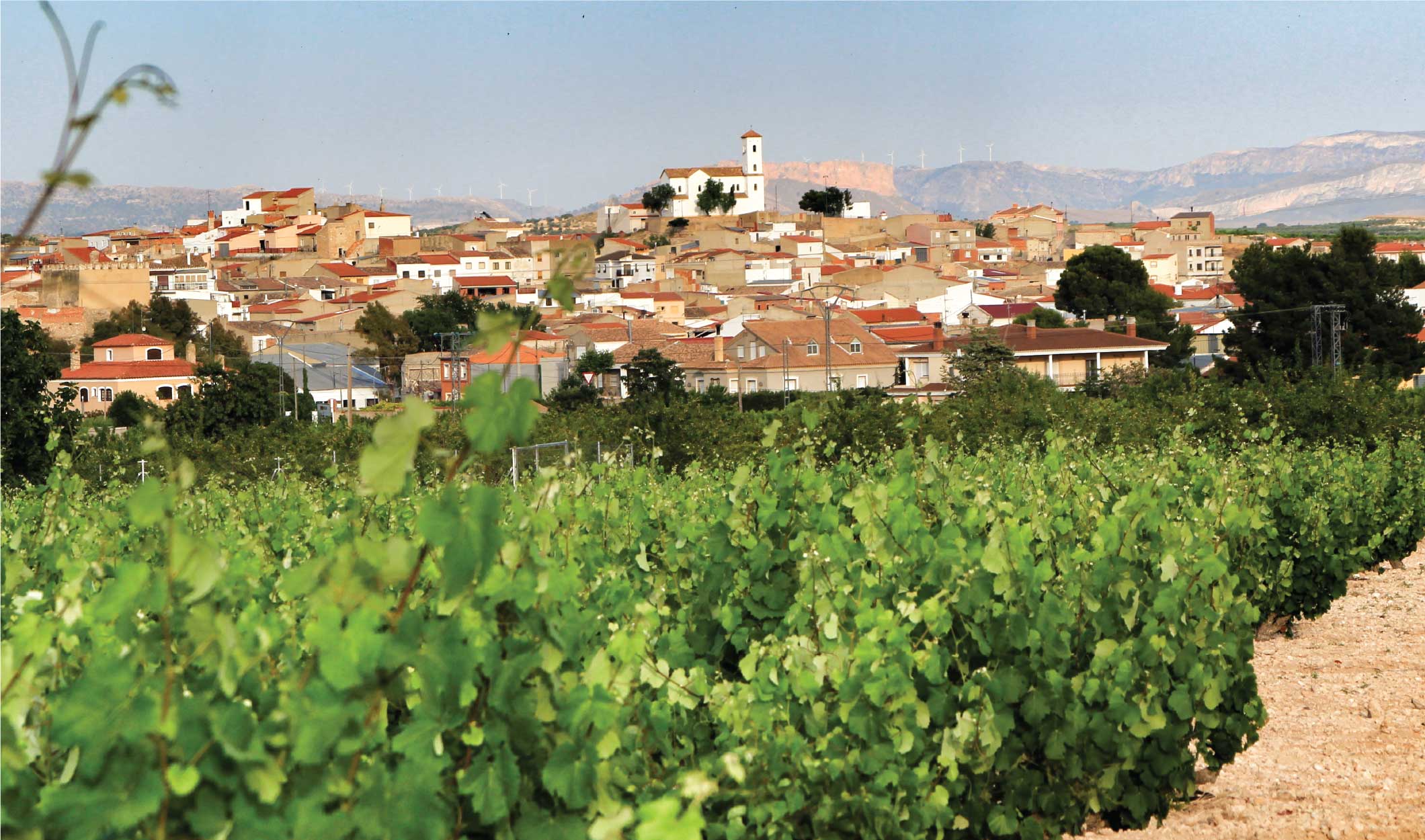 The Wines of Portugal