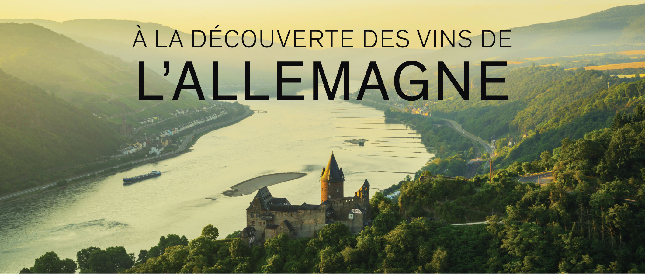 À la découverte des vins de l'Allemagne